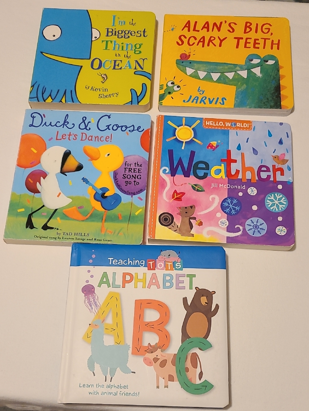 Bundle of 5 Board Books, Ocean Teeth Goose Weather Alphabet